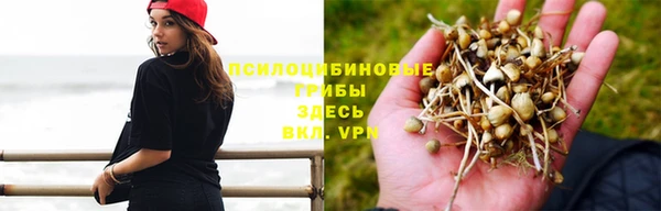 трава Вяземский