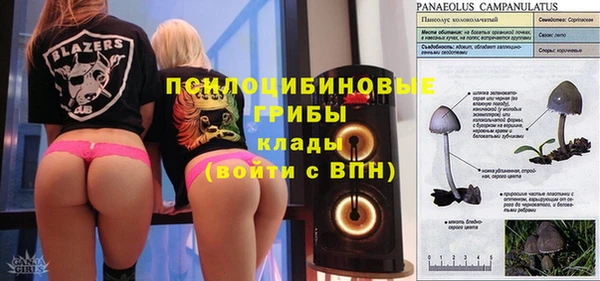ПСИЛОЦИБИНОВЫЕ ГРИБЫ Волосово