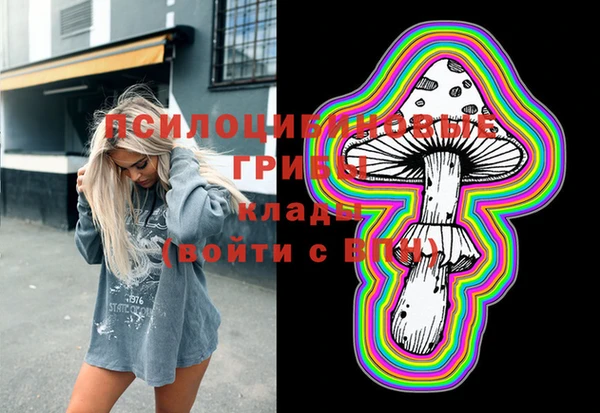МДПВ Пестово