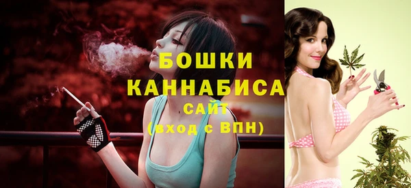 прущий лед Вязьма