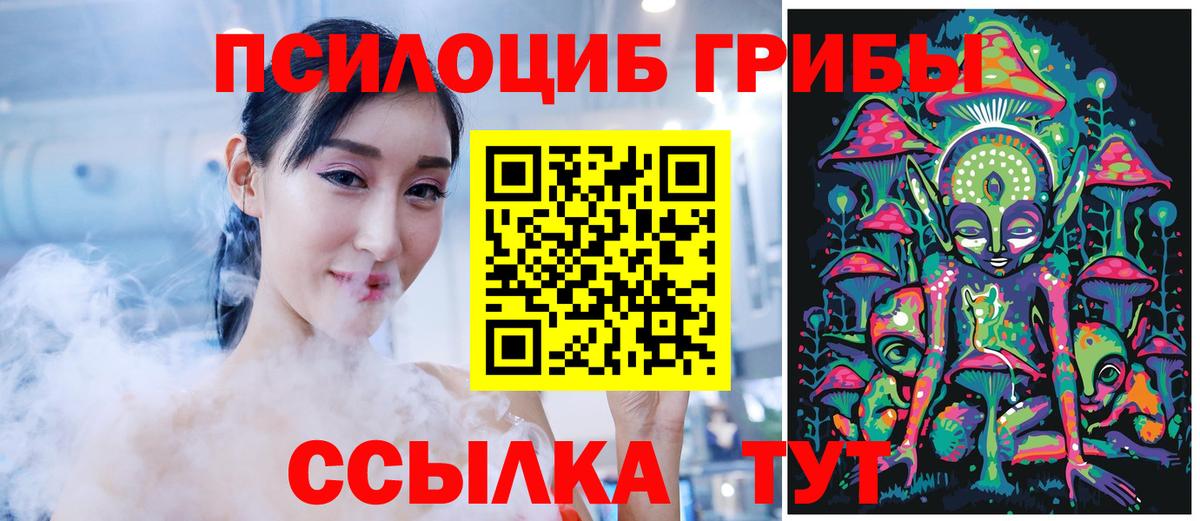 Псилоцибиновые грибы Psilocybine cubensis  Вход с VPN  Дальнегорск 