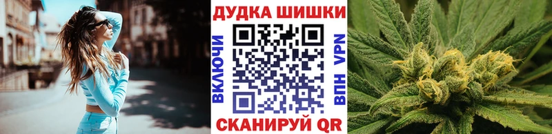 kraken как зайти где купить наркоту Дальнегорск Каннабис семена